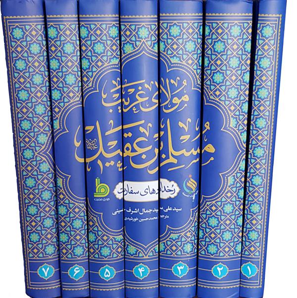مولای غریب مسلم بن عقیل رخداد های سفارت 7 جلدی